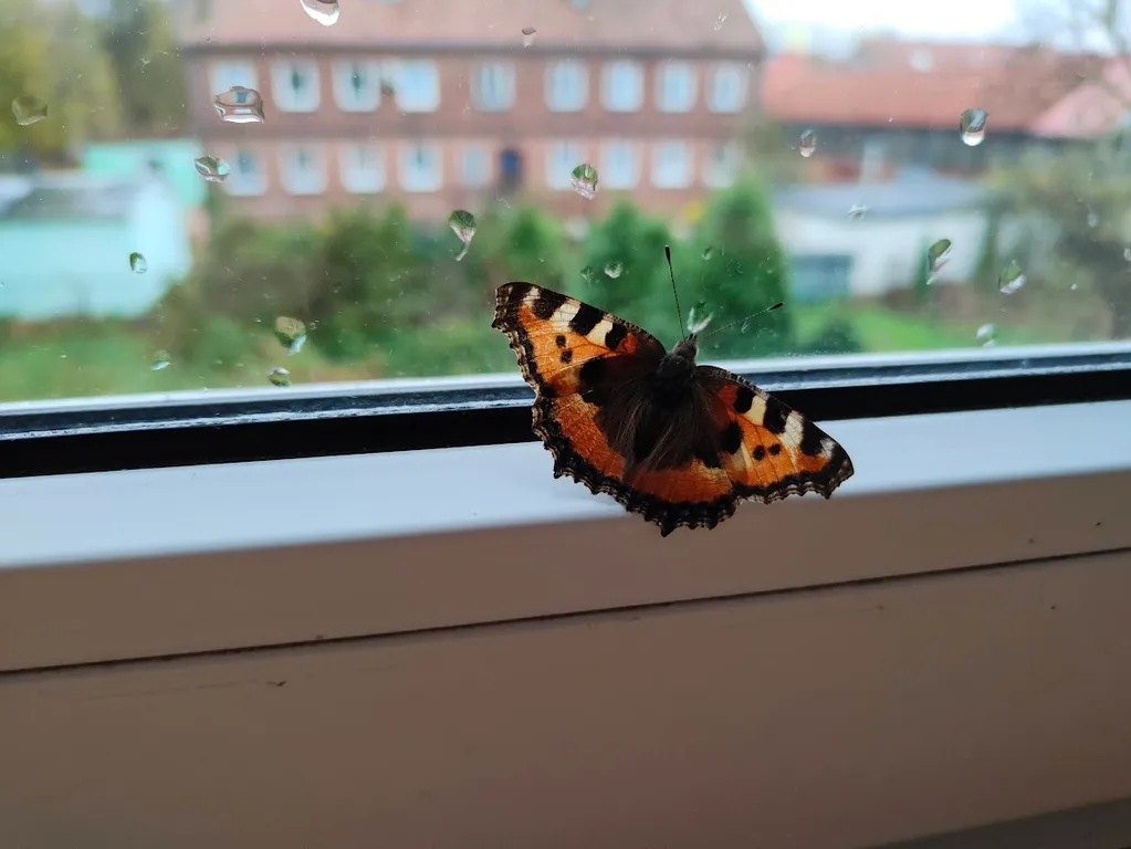 Уютная квартира у моря