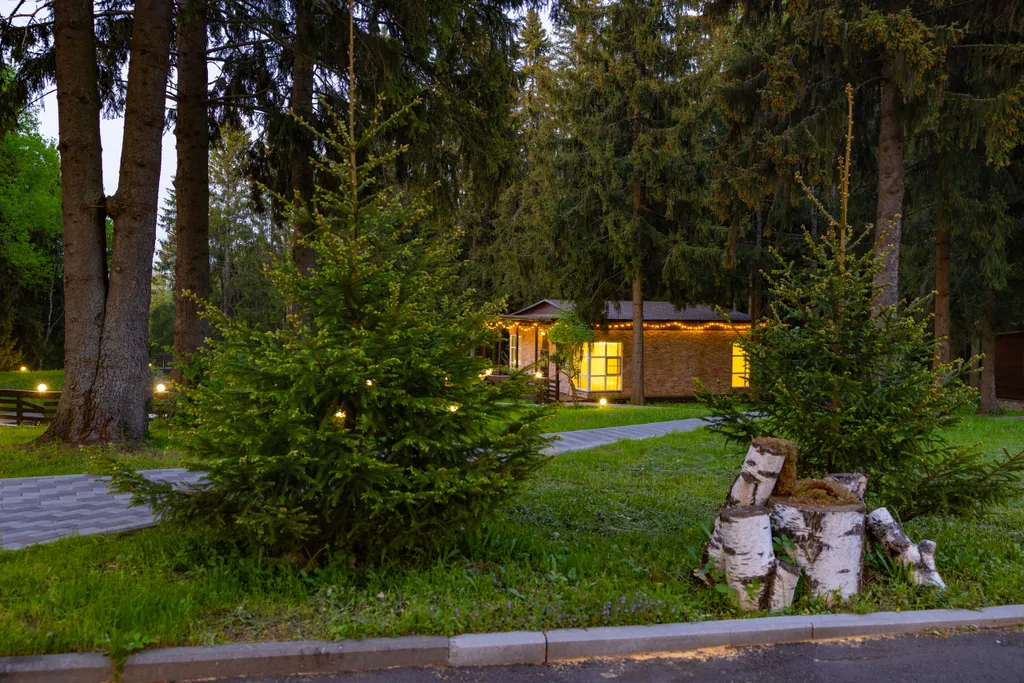 Домик в еловом лесу Беликово Клаб Хаус