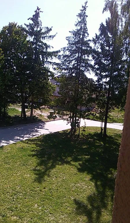 Квартира 1-комнатная Квартира — Светлогорск