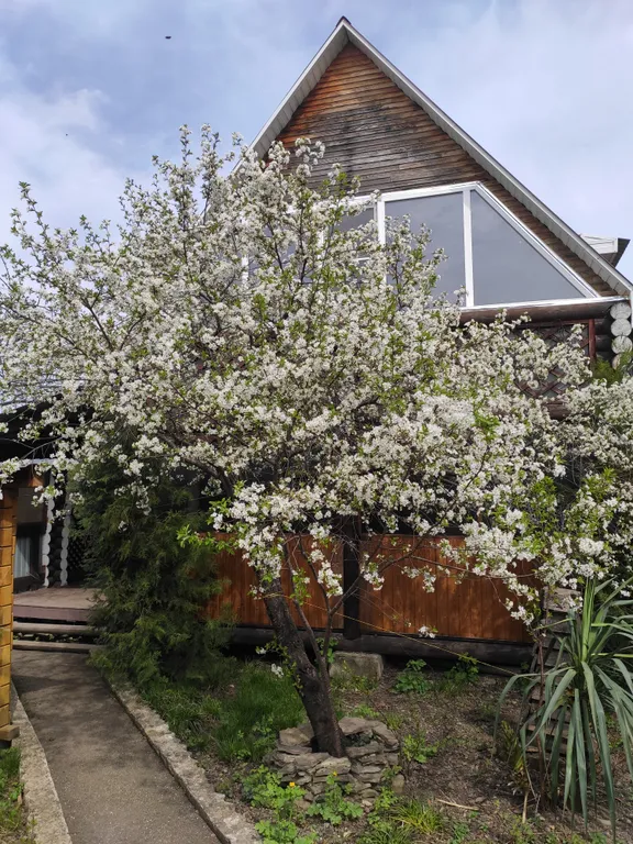 Коттедж Рубленный дом — аренда посуточно в Каменномостский