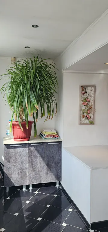 Комфортная однокомнатная квартира