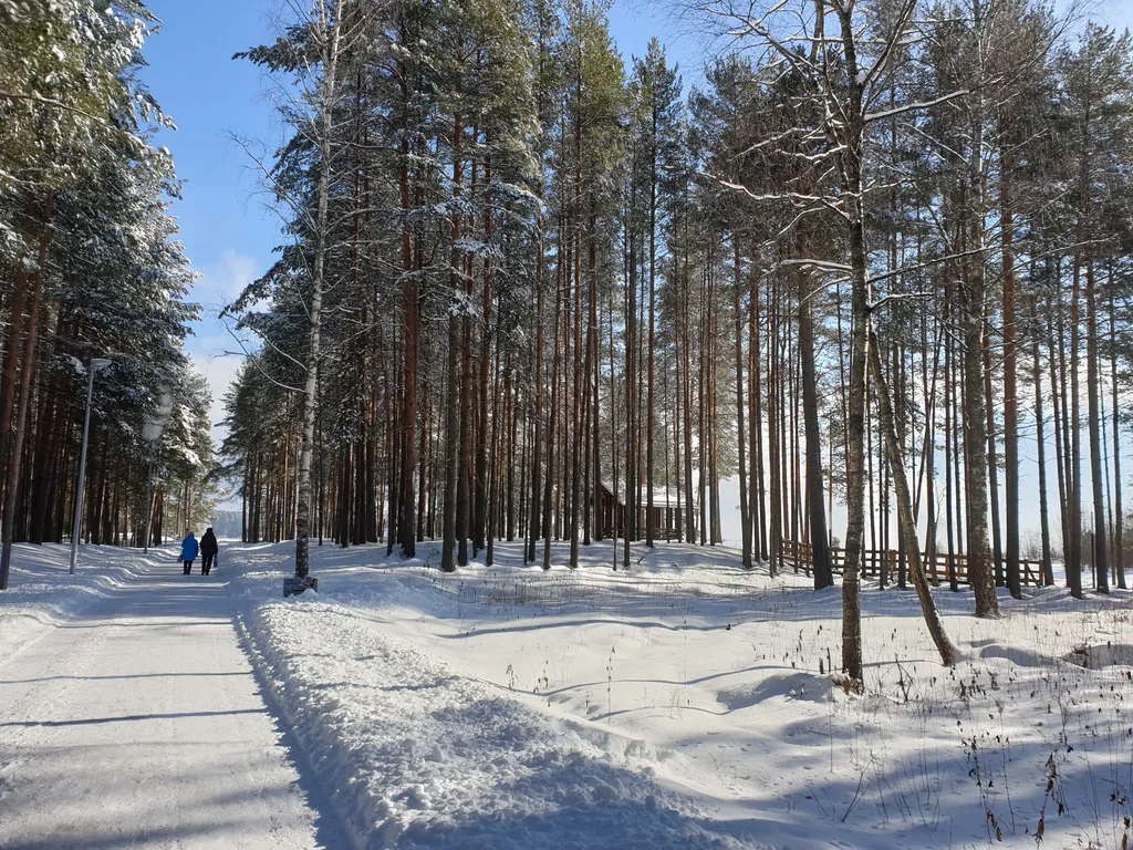 Семейный номер комфорт 3 ком. вид на озеро и парк