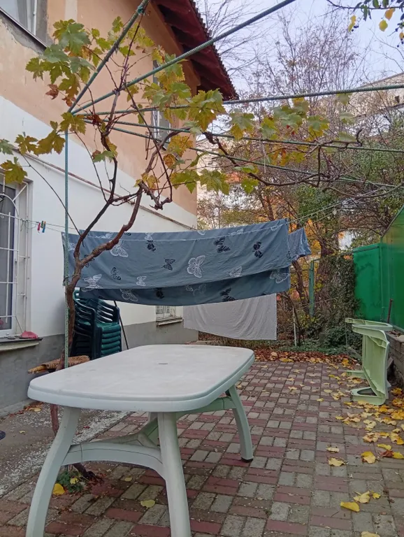 Уютная 3-комнатная квартира с личным палисадником