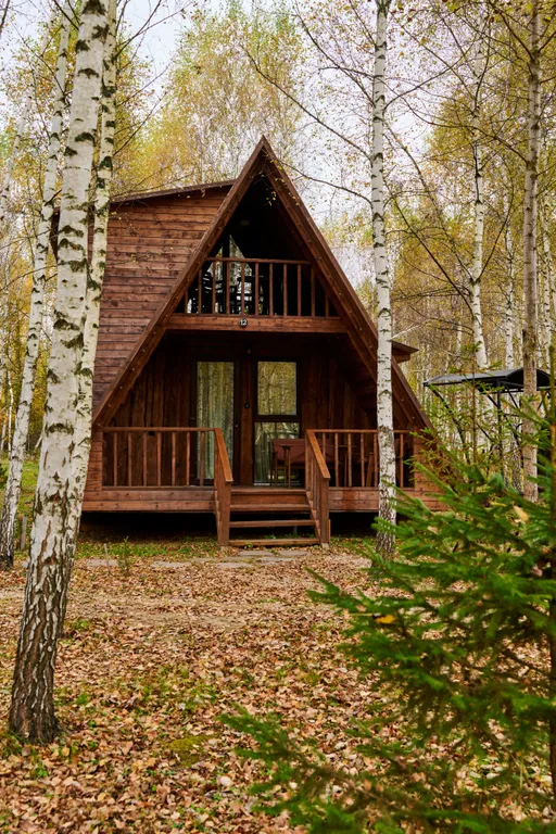 Коттедж Дом номер 12 категории Люкс с электрокамином и двумя санузлами — аренда посуточно в Кузьмищево