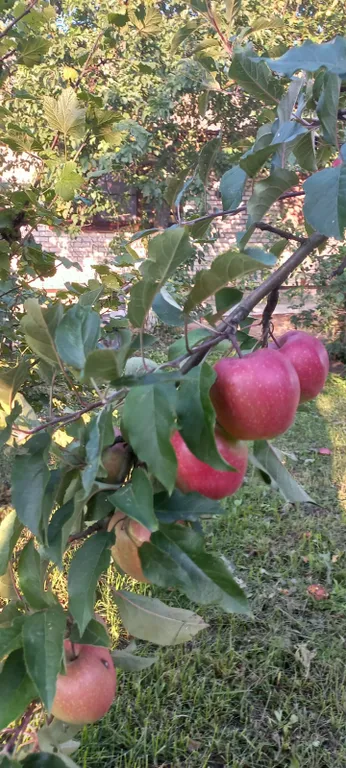 Уютный дом в центре