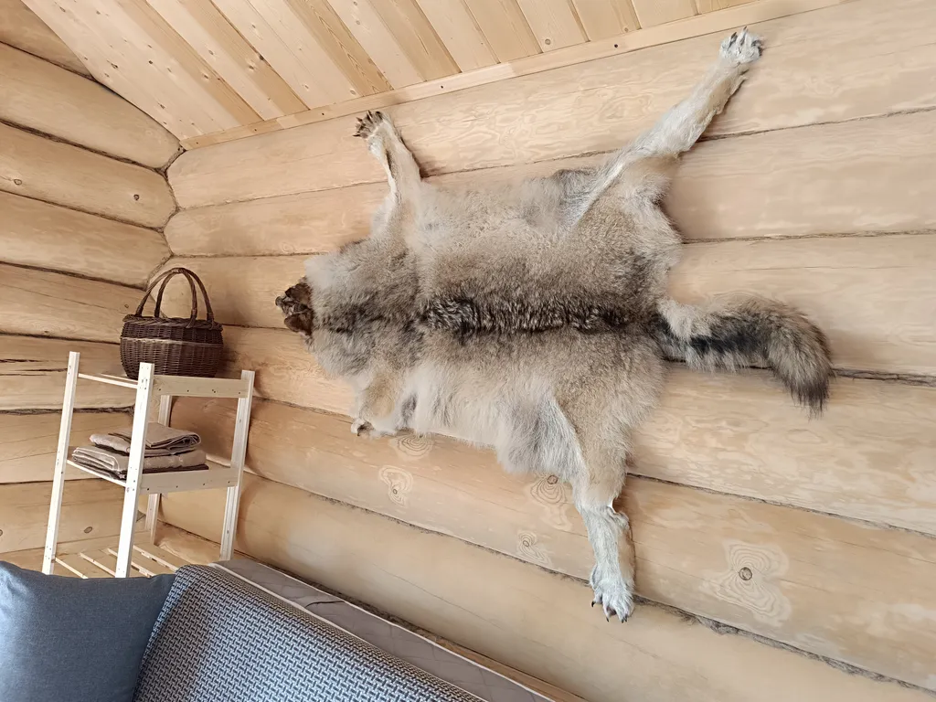 Дом-баня Дом охотника на берегу озера Нигозеро