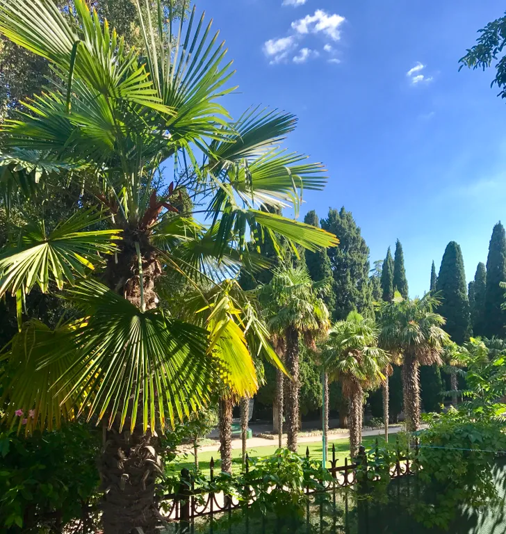 Улучшенный двухместный номер с большой кроватью