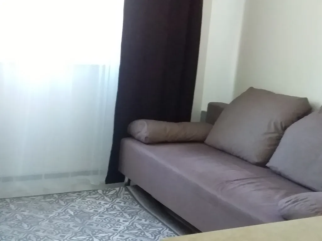 Квартира 1-комнатная Квартира — Сириус