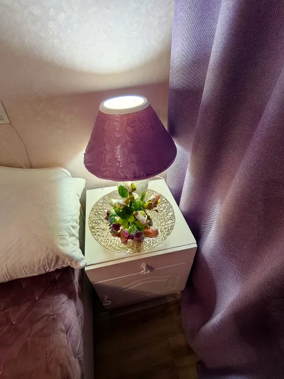 Квартира Квартира Камин, качеля! Напротив кл. Мешалкина. НВВКУ. НГУ. ЦНМТ. Мозайка. Эдэм — Новосибирск