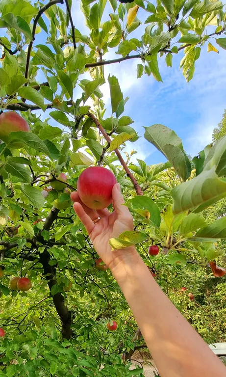 Компактный домик