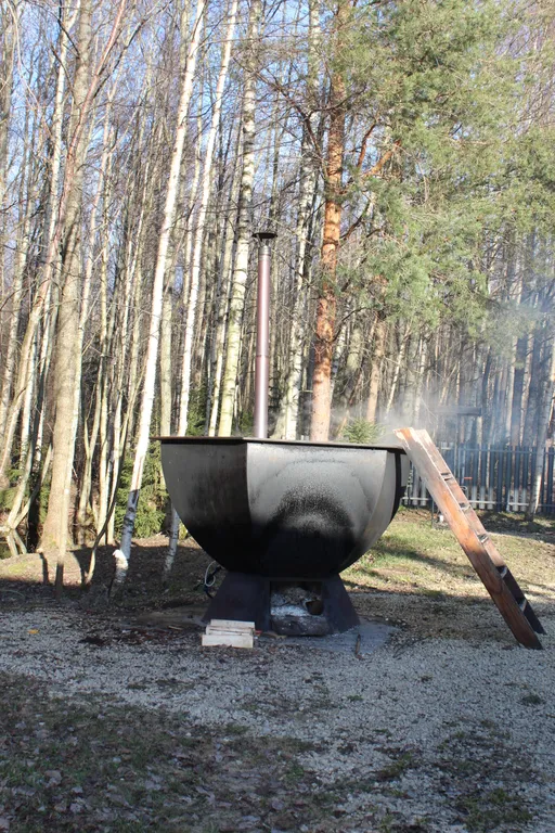 Дом в березовой роще