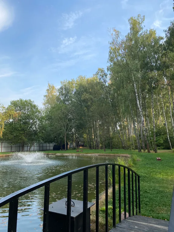 Уютный домик в лесу у пруда