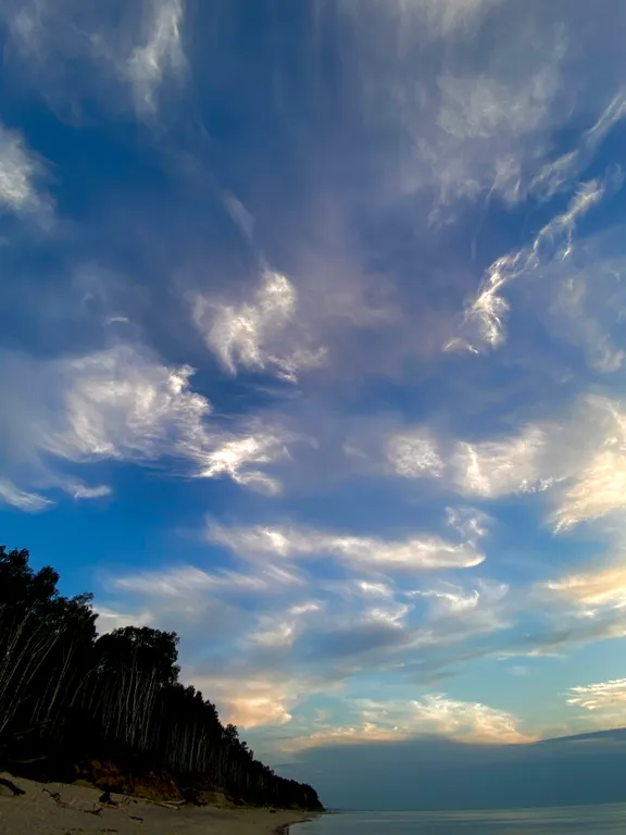 Квартира Квартира Апартамент Mint — Светлогорск