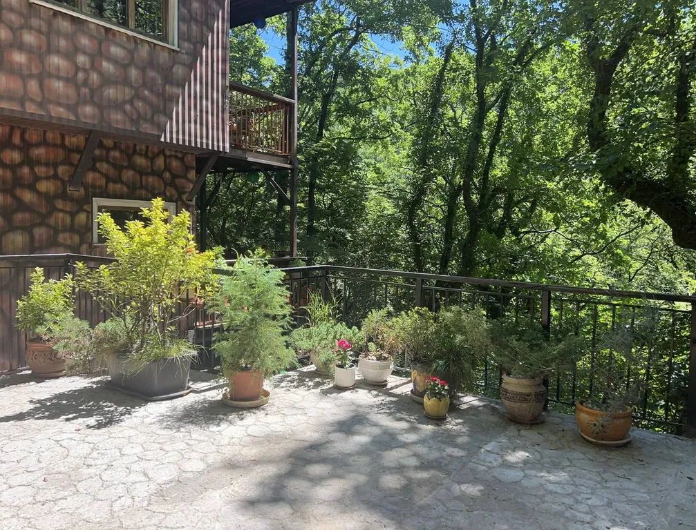 Вилла парящая над лесом