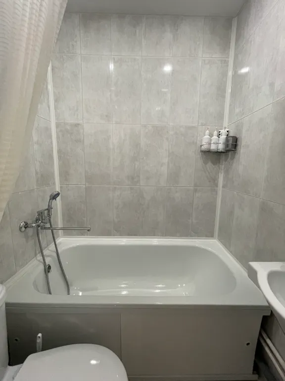 Уютная студия в центре города