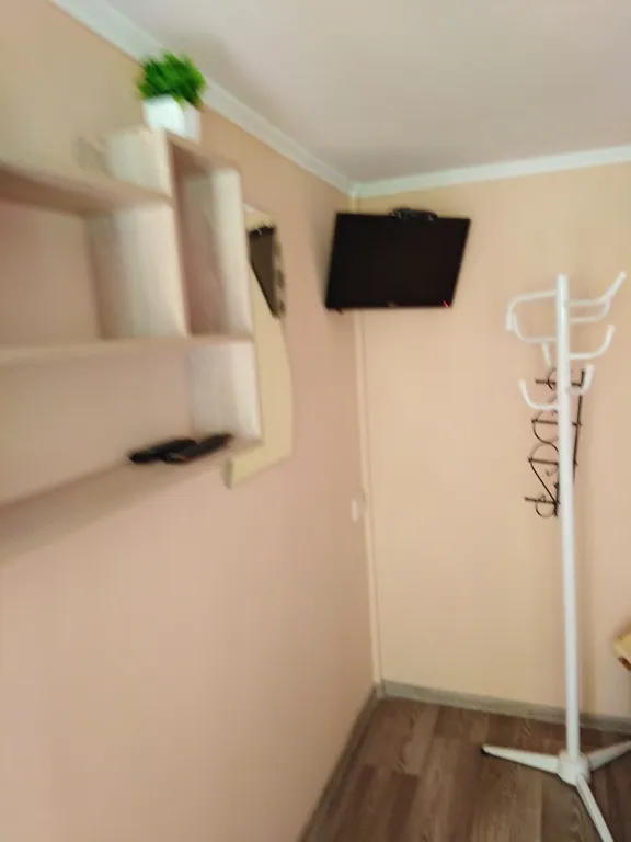 Комната в зелёном дворе