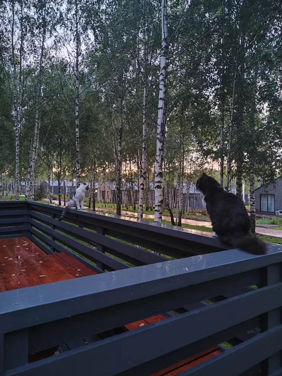 Коттедж Современный и комфортный дом — Истра