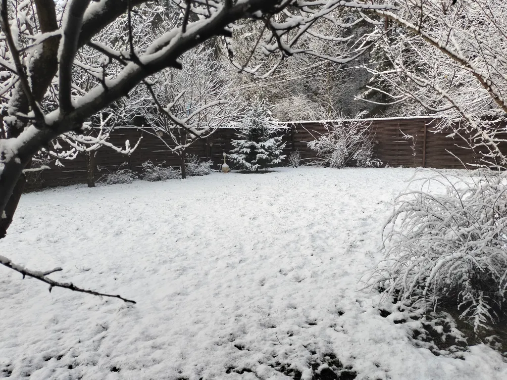 Уютный коттедж с дровяным камином, в окружении лесного массива