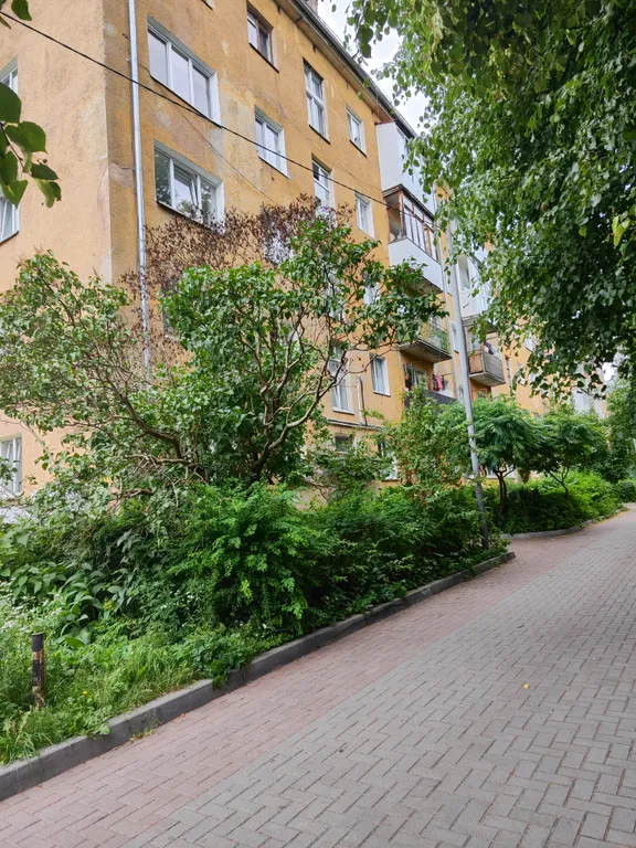 Квартира Комфортная квартира в самом центре города — Калининград