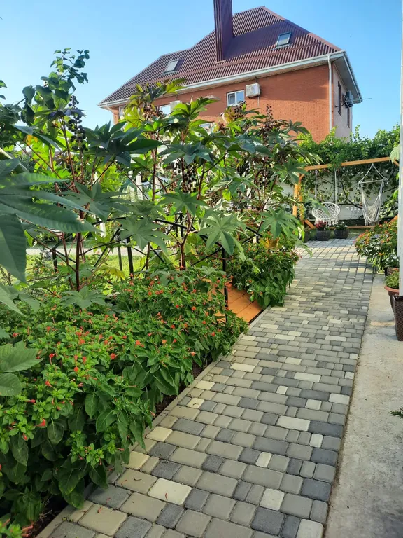 Двухкомнатные апартаменты с собственной террасой и кухней