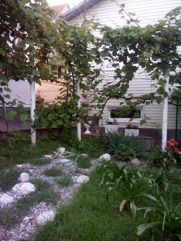 Коттедж 4-комнатный Дом — аренда посуточно в Сочи