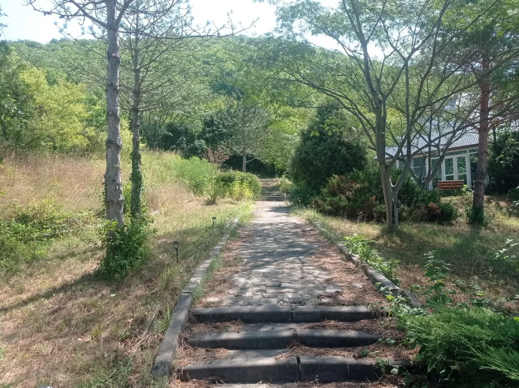 Апартаменты в лесу