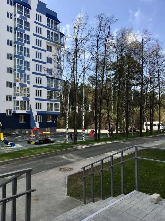 Атмосфера уюта и тишины барнаульского леса