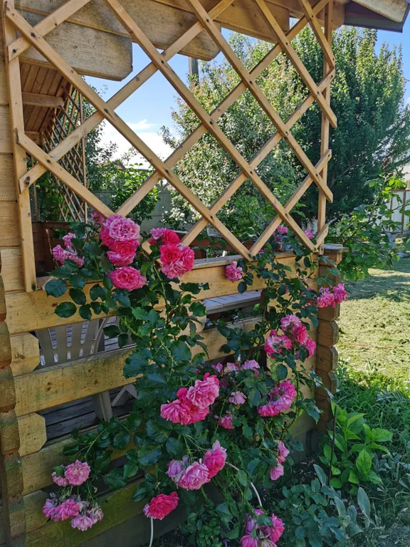 Коттедж Уютный домик возле Балтийского моря — Зеленоградск