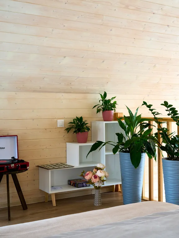 Дом на берегу реки с горячей купелью