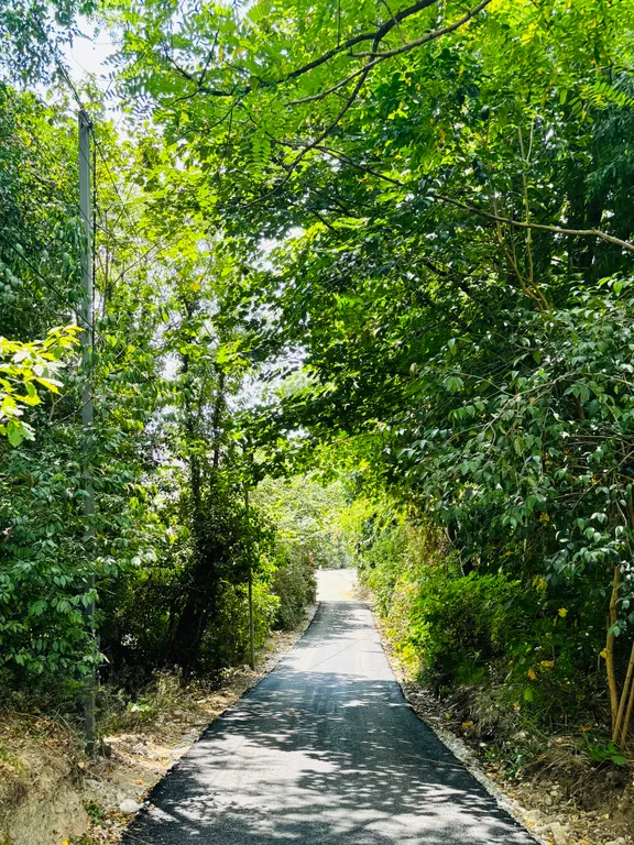 Коттедж Квартира с видом на сад и горы — Сочи