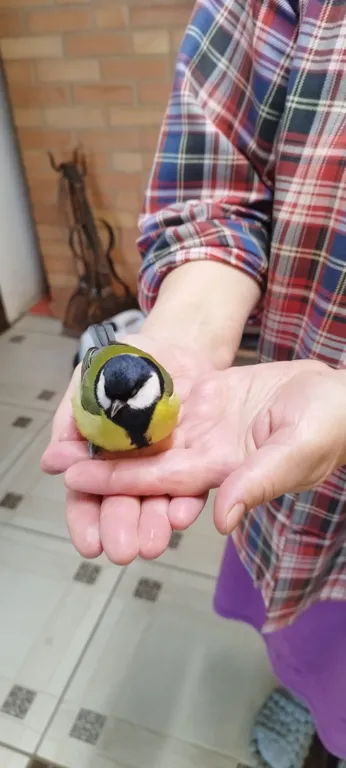 Дом для большой компании на Браславских озерах