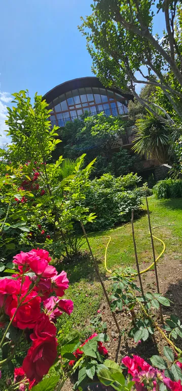 Солнце Ялты