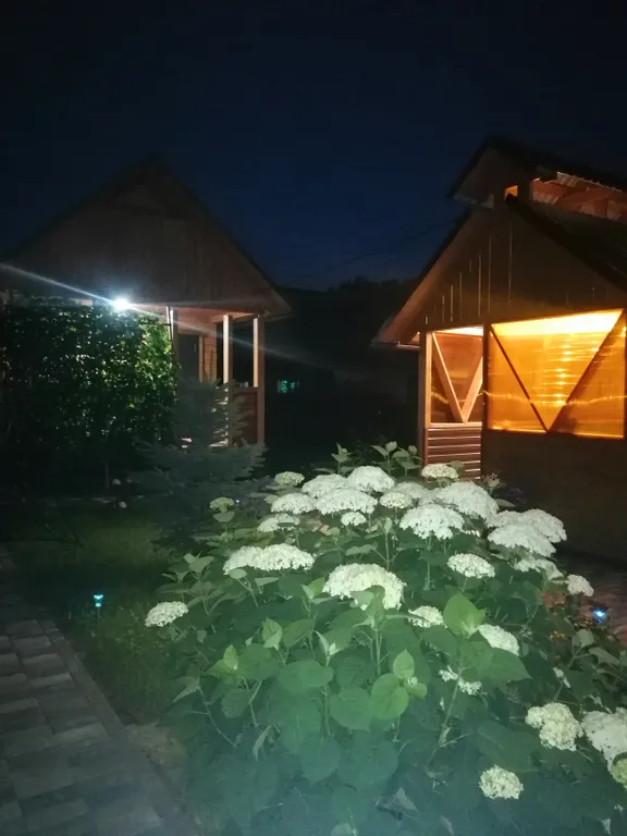 Домик в горах Алтая