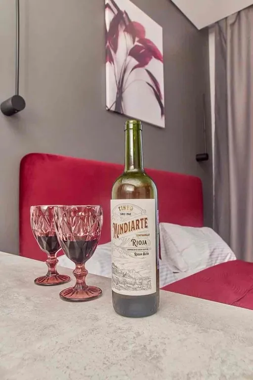 Квартира Квартира Стильный апартамент wine — Нижний Новгород