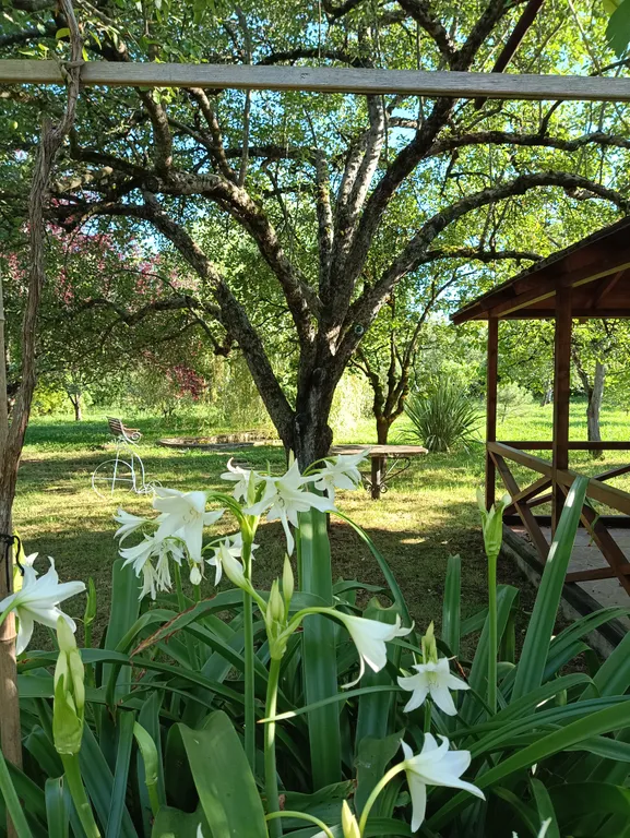 Вилла с парком под ключ