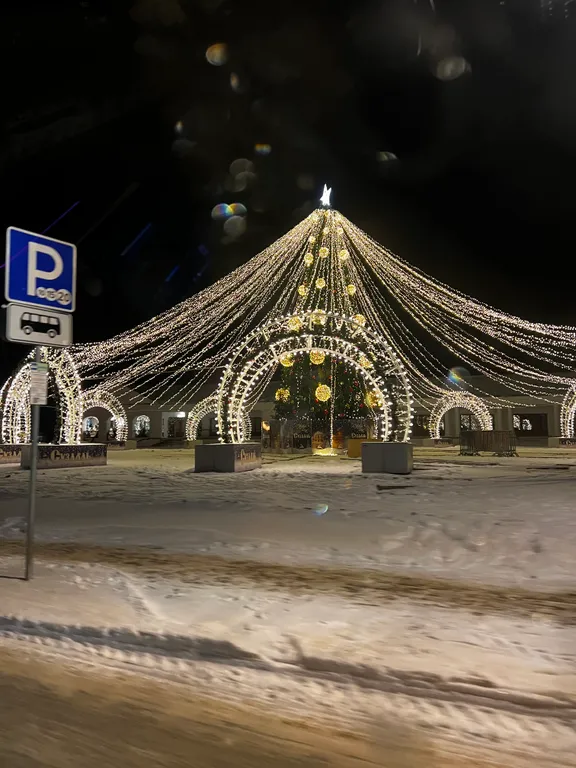 Отдых у реки в Малая роща