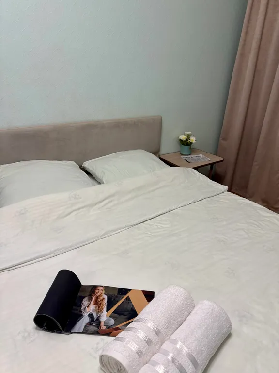 Квартира у Шоколадницы/Метросити