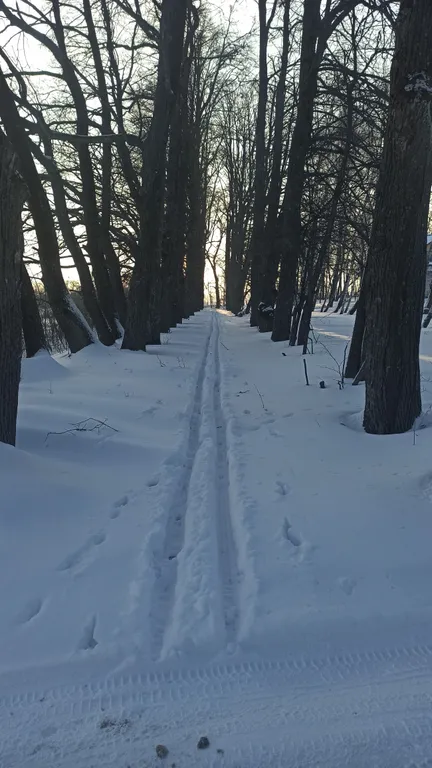 Воргольский каньон