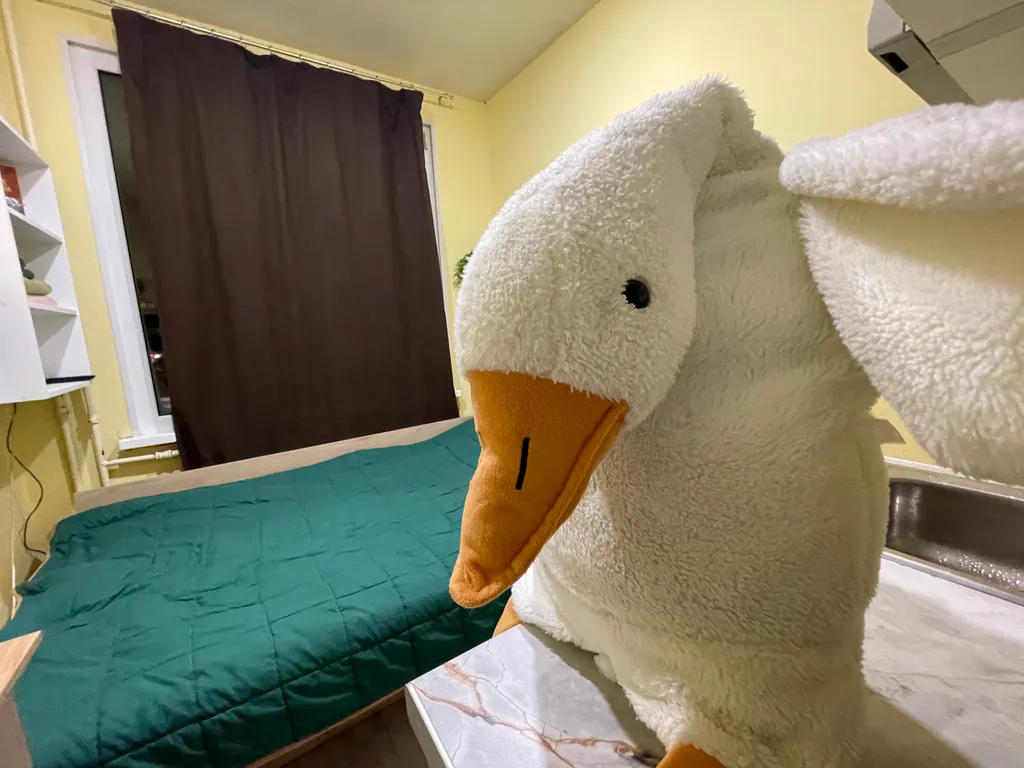 Квартира В гостях у гуся — аренда посуточно в Санкт-Петербург