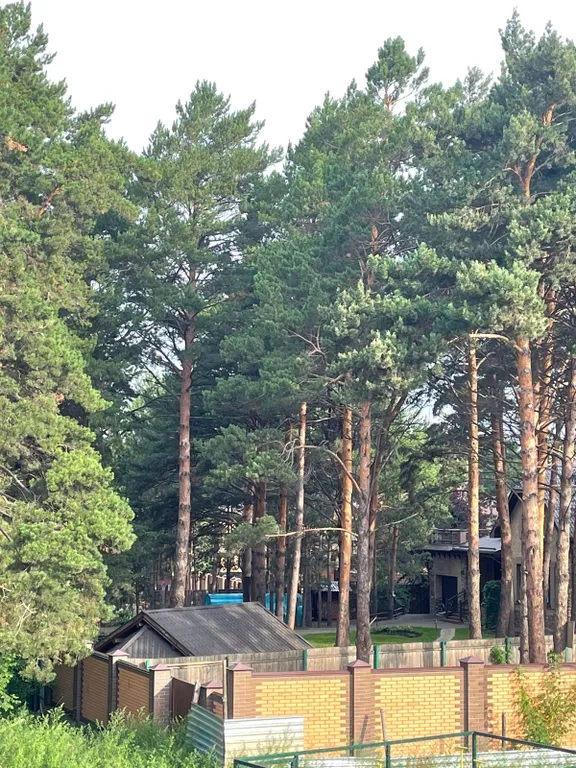 Уютная квартира на берегу Обского моря