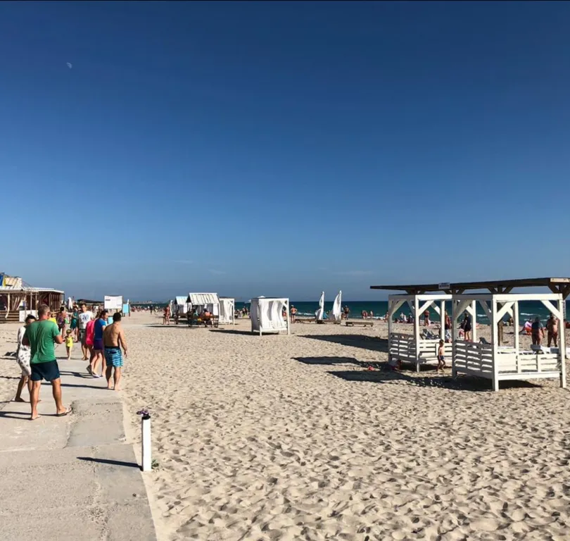 Четырех местный стандарт