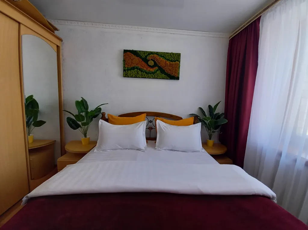 Звёздный спутник