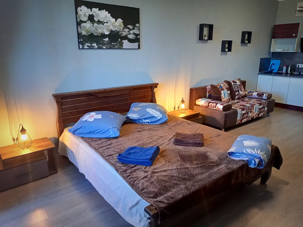 Квартира Уютная квартира-студия с диванчиком у жд вокзала и ТЦ Вавилон — Тверь