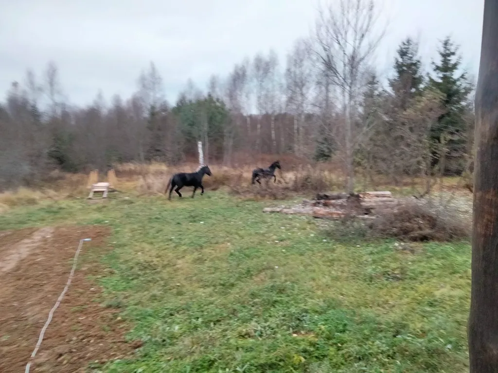 Уютный гостевой дом в поместье Большое небо в экопоселении