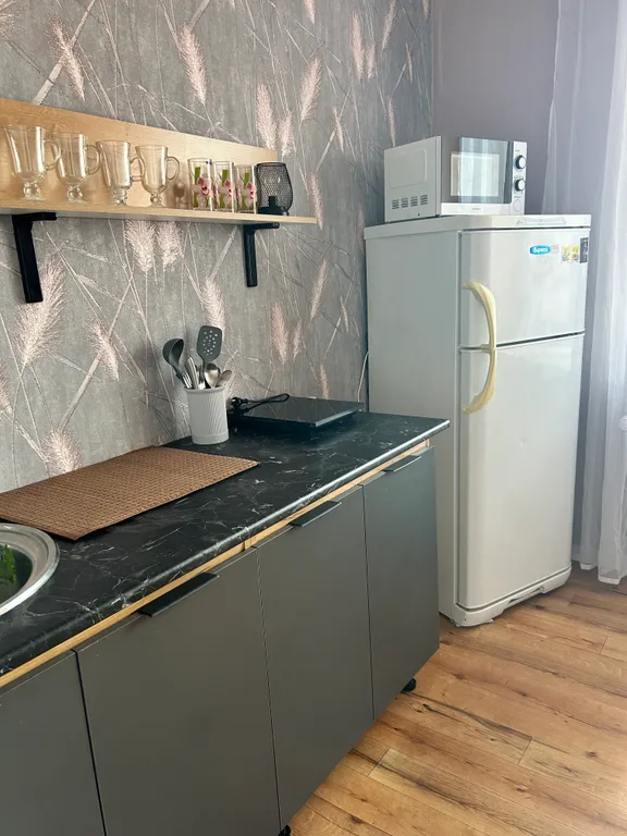 Просторная квартира в новом доме — аренда посуточно в Чита