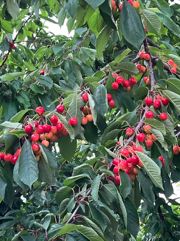 Тихий райский уголок