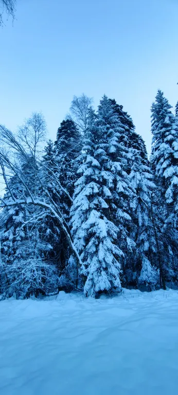 Современные апартаменты