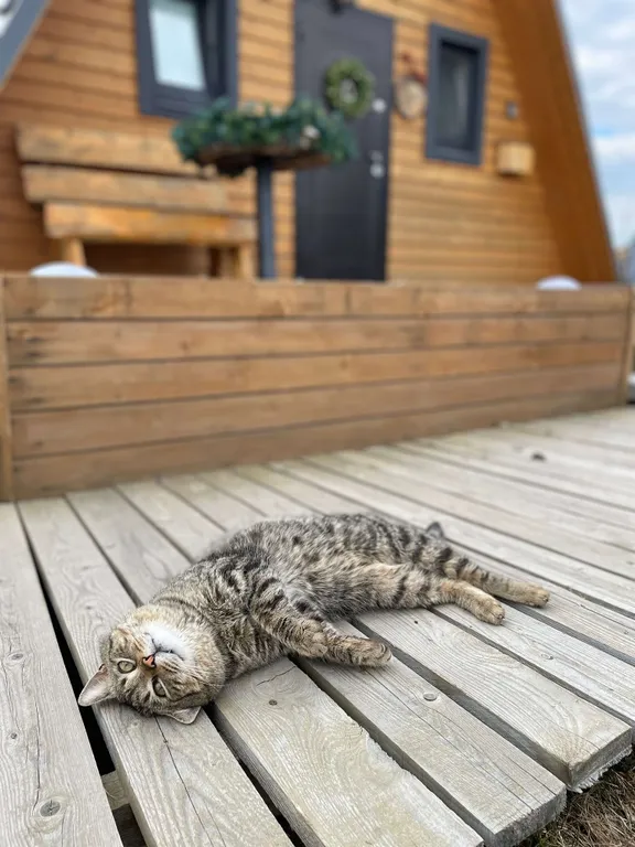 Дизайнерский коттедж Осень