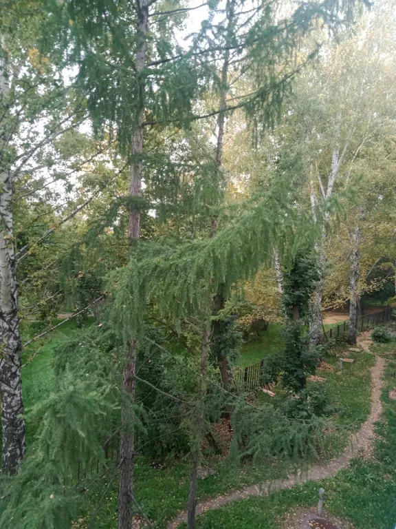 Квартира Тихая квартира музей — Новосибирск