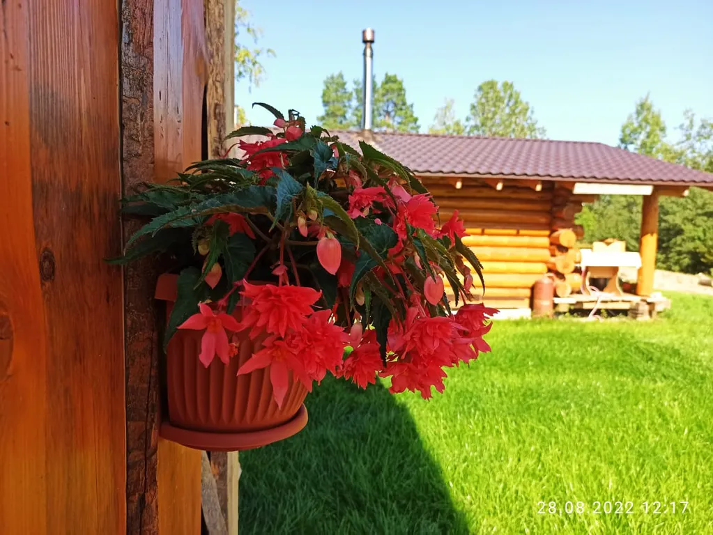ЭМАНСИС Сямозеро, 1-я линия: дом у озера + баня и купель, рыбалка